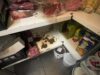 Caivano: controlli dei carabinieri in comunità per minori, sospeso un deposito alimentare, recipienti con insetti e buste di farina con vermi