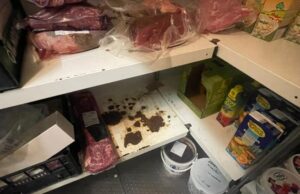 Caivano: controlli dei carabinieri in comunità per minori, sospeso un deposito alimentare, recipienti con insetti e buste di farina con vermi
